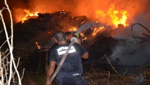 Antalya'da yangın seralara sıçramadan söndürüldü