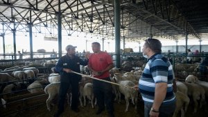 Bursa ve Eskişehir'de hayvan pazarlarında satışlar Kovid-19 tedbirleriyle sürüyor