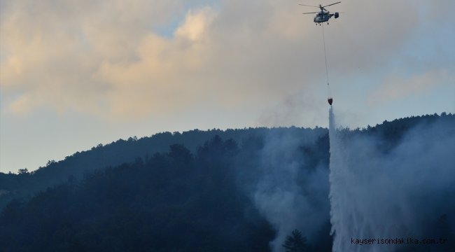 Çanakkale'deki orman yangınına havadan müdahale yeniden başladı
