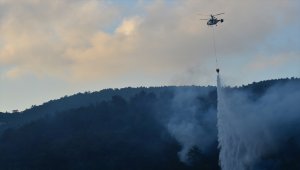 Çanakkale'deki orman yangınına havadan müdahale yeniden başladı
