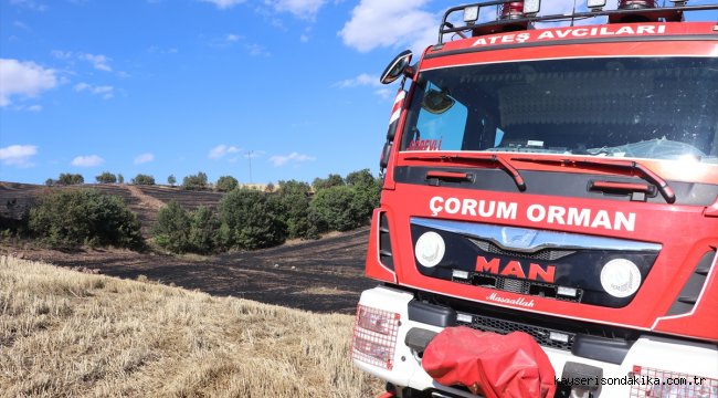 Çorum'da çıkan anız yangınında 20 hektarlık alan zarar gördü 