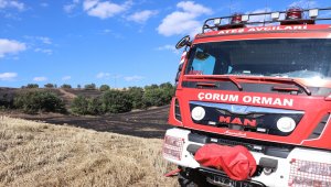 Çorum'da çıkan anız yangınında 20 hektarlık alan zarar gördü 