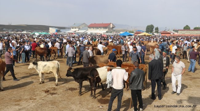 Doğu Anadolu'da vatandaşlarla besiciler arasında sıkı "kurbanlık pazarlığı" yaşanıyor