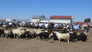 Doğu Anadolu'daki hayvan pazarlarında arife hareketliliği