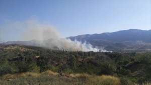 Elazığ'da çıkan yangında 15 hektar ormanlık alan ile meyve bahçesi zarar gördü