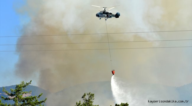GÜNCELLEME 2 - Çanakkale'de orman yangını çıktı