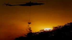 GÜNCELLEME 2 - İzmir'de çıkan orman yangını kısmen kontrol altına alındı