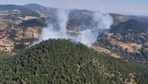 GÜNCELLEME - Bursa'daki orman yangını kontrol altına alındı