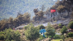 GÜNCELLEME - Hatay'da 4 farklı noktada çıkan orman yangını kontrol altına alındı
