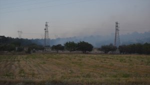 GÜNCELLEME - Manisa'da çıkan orman yangını kontrol altına alındı
