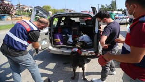 İçişleri Bakan Yardımcısı Çataklı'dan trafik güvenliği açıklaması: