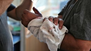 Kahramanmaraş'ta "acemi kasaplar" hastanelik oldu