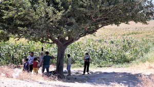Kahramanmaraş'ta hayvan pazarında yoğunluk