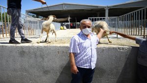 Konya'da emekli hayırseverden örnek davranış