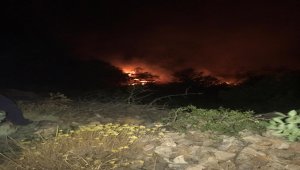 Malatya'da orman ve otluk alan yangını