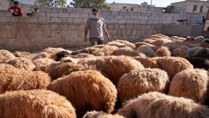 Türkiye Diyanet Vakfı'ndan Suriye'de 900 bin kişiye kurban eti 