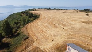 Adada hasat yapan biçerdöver gölde "yüzdürülerek" karaya çıkarıldı