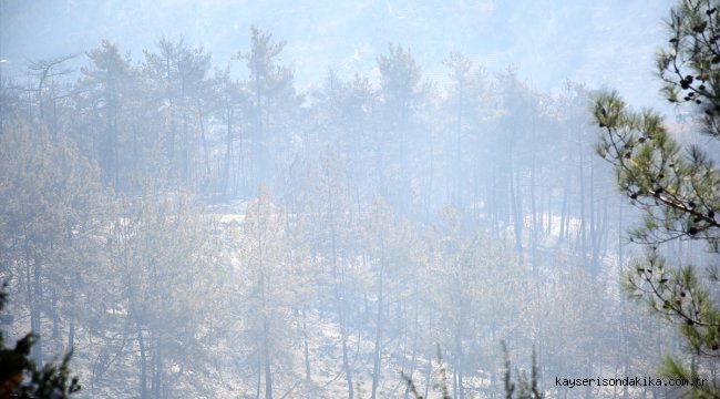 Adana'daki orman yangınına havadan müdahaleye ara verildi