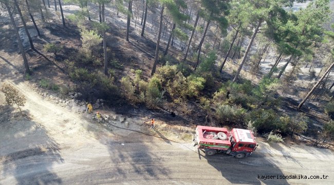 Adana'daki orman yangınında soğutma çalışmaları sürüyor 