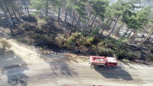 Adana'daki orman yangınında soğutma çalışmaları sürüyor 