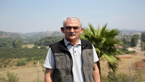 Adana'daki orman yangınında zarar gören alan ağaçlandırılacak