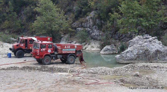 Adana'daki orman yangınının yaraları sarılıyor