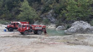 Adana'daki orman yangınının yaraları sarılıyor