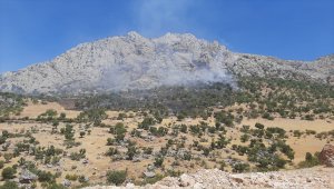 Adıyaman'da orman yangını
