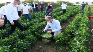 AK Parti Grup Başkanvekili Turan, Çanakkale'de Yem Kırma Ezme ve Depolama Tesisi açtı: