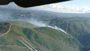 Amanoslar'daki orman yangınında 4 hektar alan zarar gördü