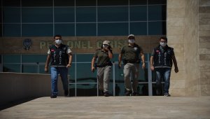 Antalya'da polisler hayvanları korumak için görev başında 