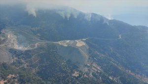 Aydın'da başlayıp Muğla'ya kadar ulaşan orman yangınını söndürme çalışmaları sürüyor