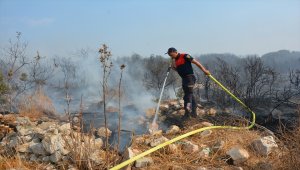 Aydın'da makilik alanda çıkan yangın söndürüldü