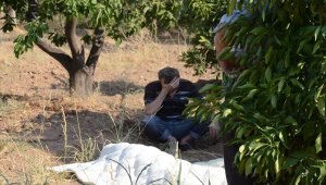 Aydın'da portakal bahçesinin bekçisi ölü bulundu