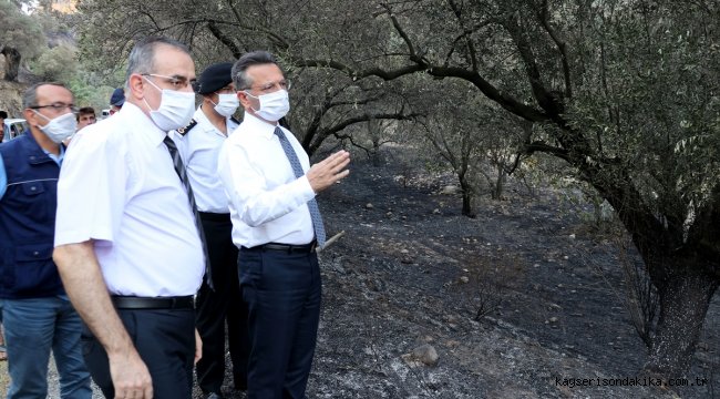 Aydın Valisi Aksoy, yanan tarım arazilerini inceledi