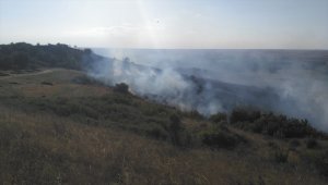 Babaeski'de mera yangını