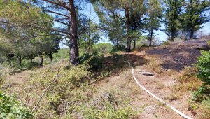 Balıkesir'de çıkan orman yangını kontrol altına alındı