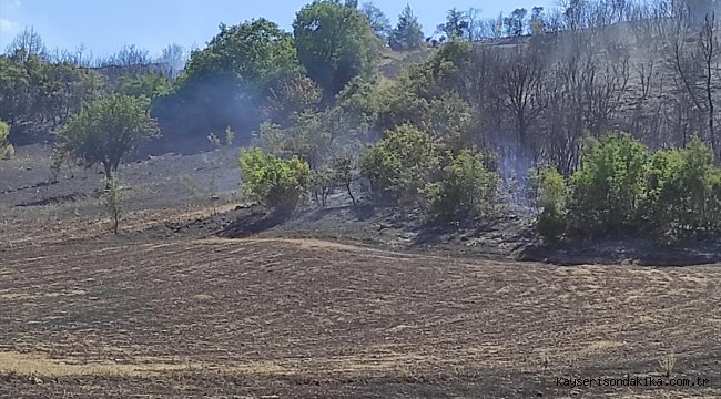 Balıkesir'de çıkan orman yangınında yaklaşık 2 hektar alan zarar gördü
