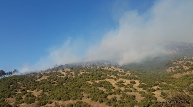 Balıkesir'de orman yangını 