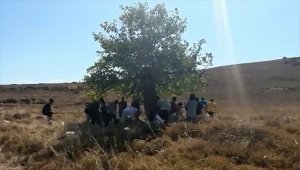 Balıkesir'de Türk kara sularına itilen 25 sığınmacı kurtarıldı