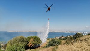 Beylikdüzü'nde otluk alanda çıkan yangın söndürüldü