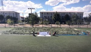 Bingöl'de 2 ton 135 kilogram esrarla 1 milyon 80 kök Hint keneviri ele geçirildi