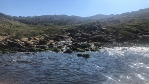 Bodrum'da denize atık su salındığı iddia edildi