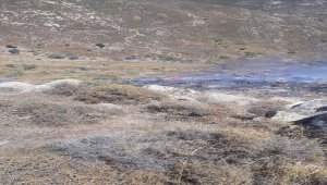 Bodrum'da makilik ve otluk alanda çıkan yangın söndürüldü
