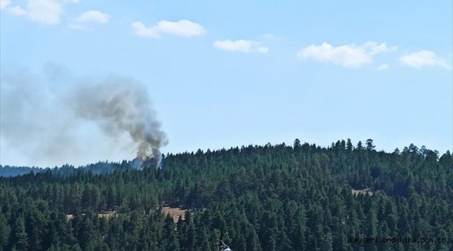 Bolu'da ormanlık alanda çıkan yangın söndürüldü