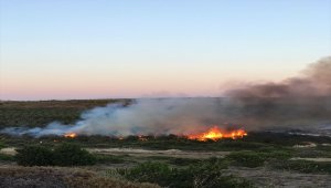 Bozcaada'da makilik alanda yangın çıktı
