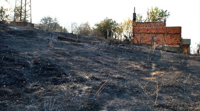 Bulgaristan-Türkiye sınırında yangın
