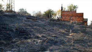 Bulgaristan-Türkiye sınırında yangın