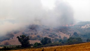 Bulgaristan-Türkiye sınırındaki yangın