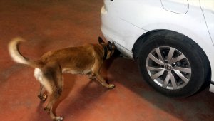 Bursa'da Fırtına-16 uyuşturucu operasyonunda 1 şüpheli yakalandı